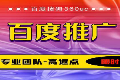 百度推广实战：案例分享与数据解读